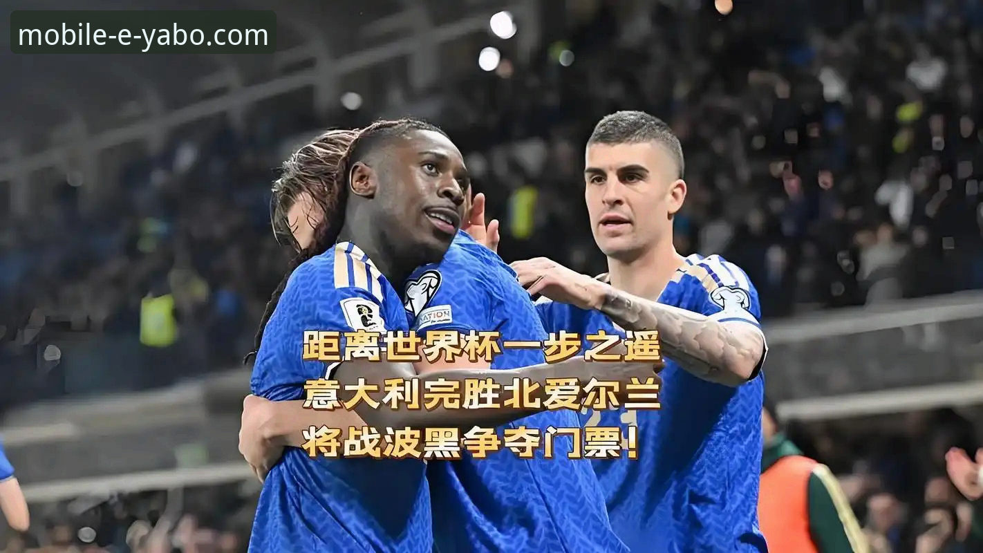深度解析波黑淘汰意大利之战：一场载入史册的附加赛完整指南